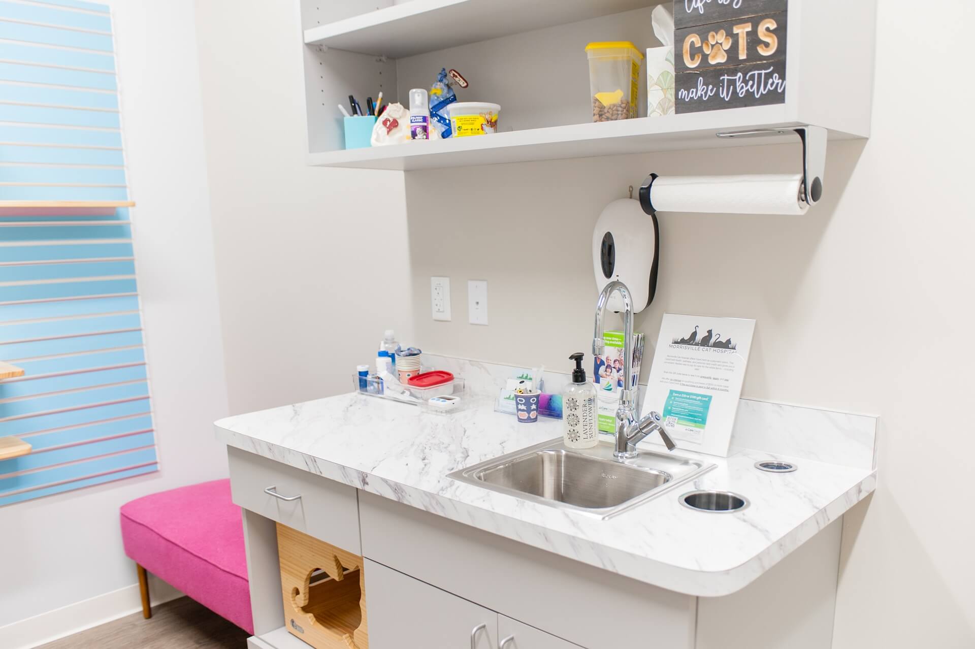 Cat Internal Medicine in Morrisville, NC 27520 Morrisville Cat Hospital