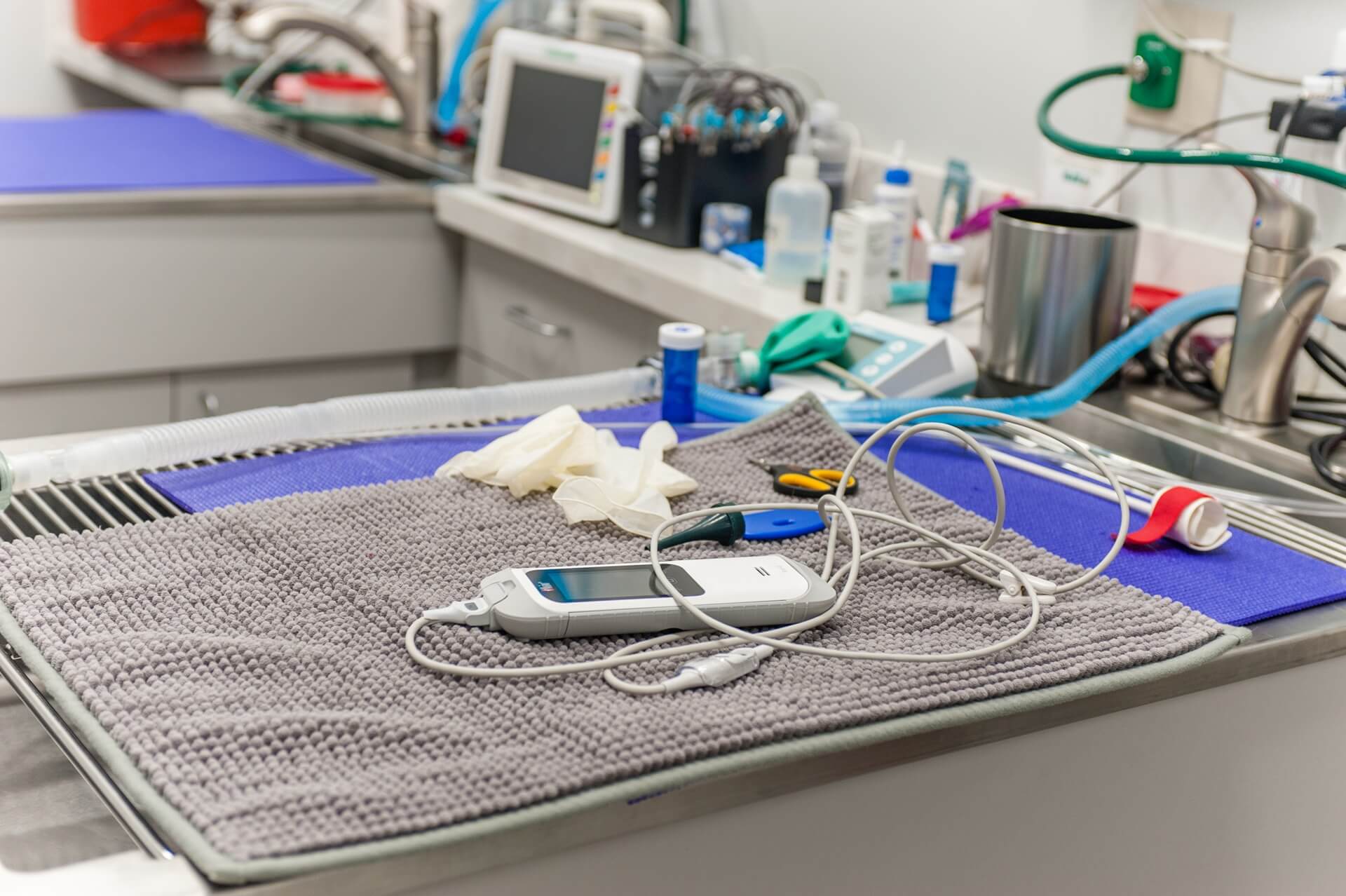 Cat Ultrasound in Morrisville, NC 27520 Morrisville Cat Hospital